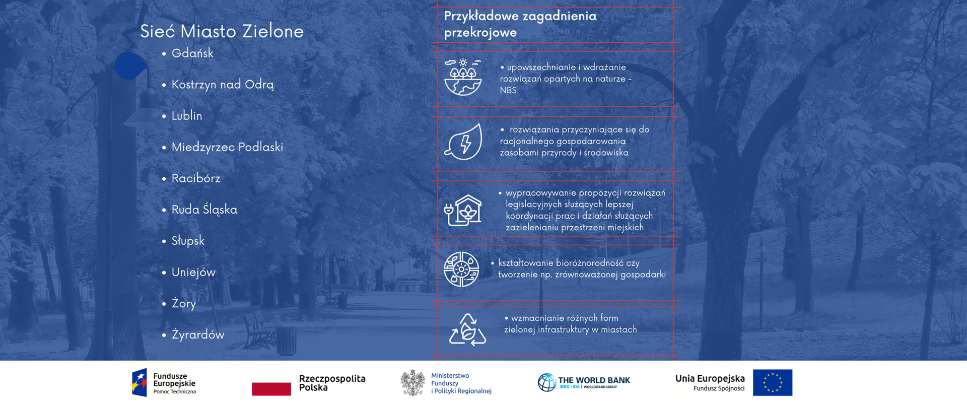 Przykładowe zagadnienia przekrojowe w sieci Miasto Zielone. 