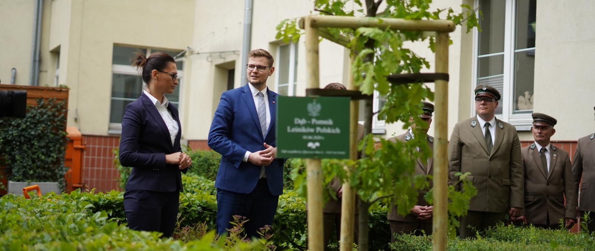 Dąb Leśników Polskich