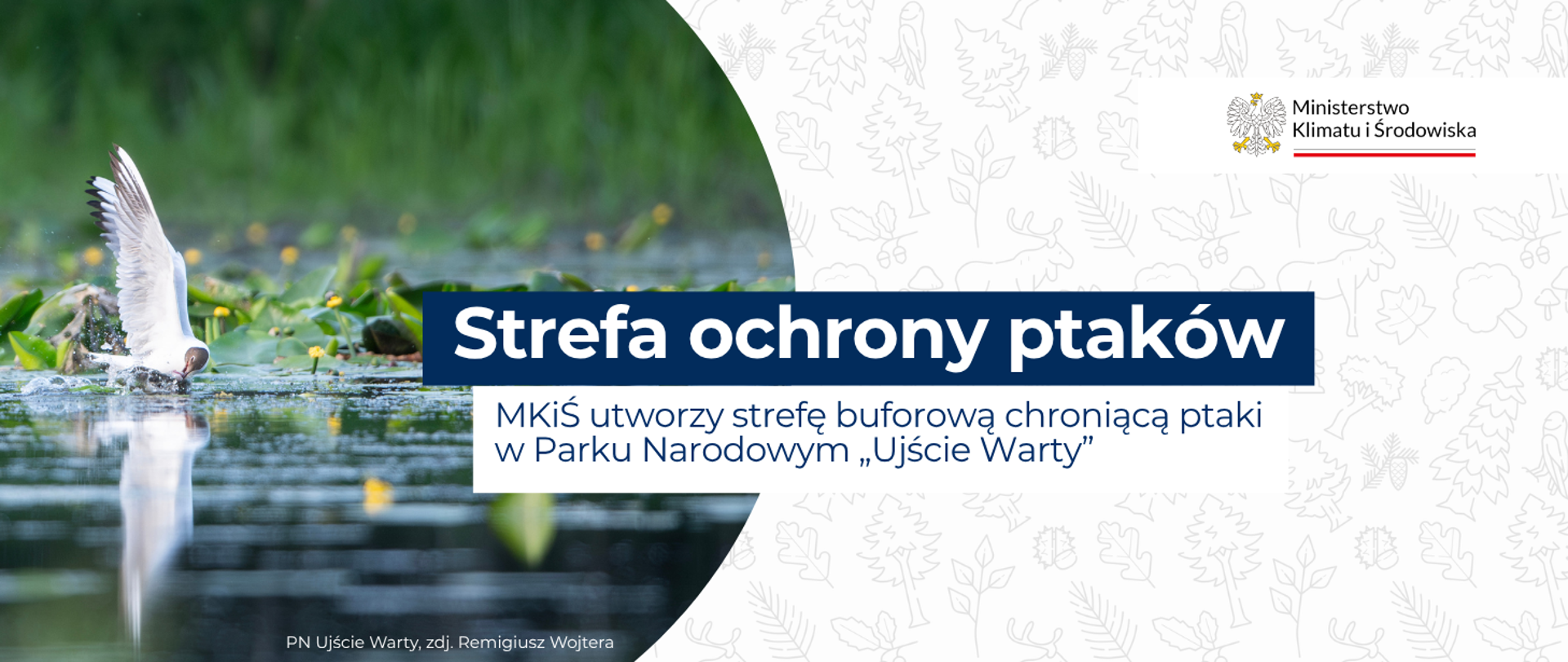 Strefa ochrony ptaków - MKiŚ utworzy strefę buforową chroniącą ptaki w PN Ujście Warty
