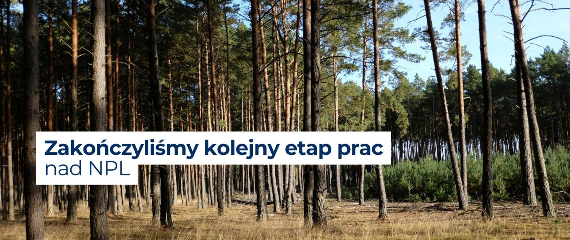 Na zdjęciu widoczny jest las oraz napis "Zakończyliśmy kolejny etap prac nad NPL"