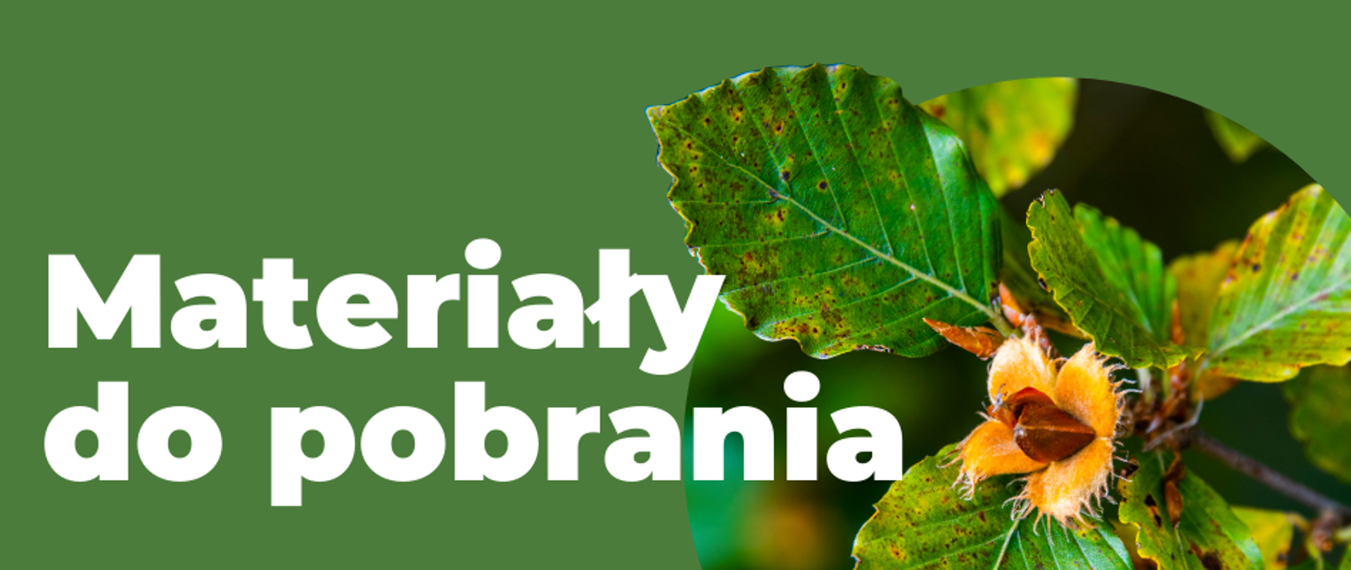 Na zdjęciu widnieje duży, biały napis "Materiały do pobrania" na zielonym tle. Po prawej stronie widnieje zdjęcie drzewa liściastego.