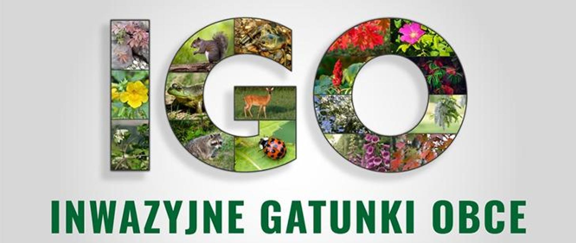 inwazyjne gatunki obce